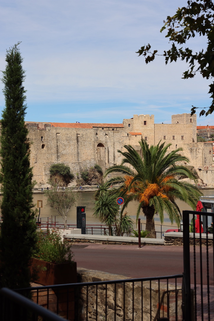 3D6B0C25-3B79-436A-991C-9B63E75D30F1_1_105_c